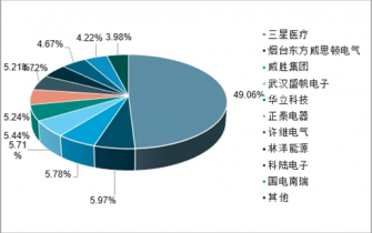 2022-2028年中国智能电表产品市场全景调查与战略咨询报告